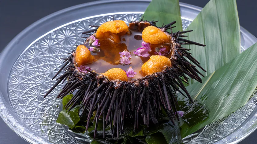 Fresh Sea Urchin in Shell