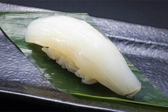 갑오징어